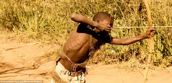 Người Hadza sử dụng những cây cung hay mũi tên tự chế trong mỗi chuyến săn bắt. Hàng ngày, đàn ông đi săn, tìm mật ong, còn đàn bà đào củ, hái trái cây. Khi hết thức ăn, đàn ông lại tổ chức đi săn. Họ không trao đổi hàng hóa và cũng không tích trữ thực phẩm.