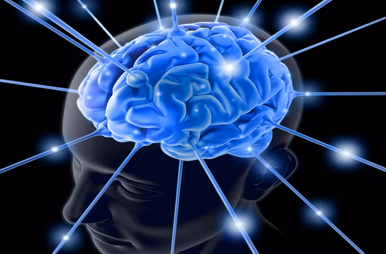 Cũng theo nghiên cứu của các chuyên gia Cơ quan Bảo vệ Môi trường Hoa Kỳ (EPA), Thủy ngân dùng trong màn hình phẳng có nguy cơ hủy hoại não bộ và hệ thần kinh trung ương, đặc biệt trong giai đoạn phát triển sớm ở trẻ.