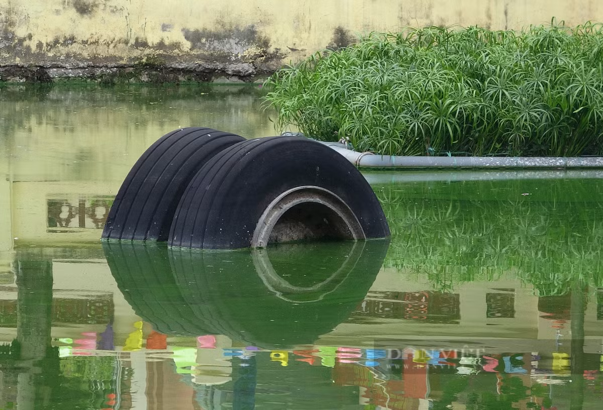 br/> Nhưng ít người biết rằng, ngoài hai địa điểm rơi là hồ Hữu Tiệp và đường Hoàng Hoa Thám, còn phần động cơ của chiếc máy bay B-52 lại rơi xuống một khu vườn của nhà bà Nguyễn Thị Nề ở tổ 51, phường Ngọc Hà. Vì ở vị trí tương đối kín đáo nên hai chiếc động cơ này dường như bị lãng quên.