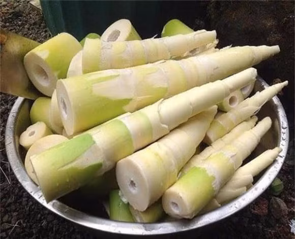 Meo loai bo doc to trong mang tuoi truoc khi nau