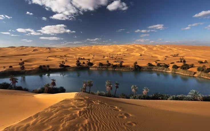  4. Sahara từng là một vùng đất xanh tươi. Cách đây khoảng 6.000-7.000 năm, Sahara từng là một vùng đất xanh tốt với nhiều sông hồ, cây cối và động vật hoang dã trước khi biến thành sa mạc khô cằn như ngày nay. Ảnh: Pinterest.