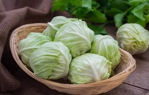 Cải xoăn: Bắp cải là loại rau có giá thành rẻ nhưng rất giàu dinh dưỡng. Ít người biết rằng, hàm lượng canxi trong bắp cải không kém gì sữa. 100 gram bắp cỉa cung cấp 97mg canxi. Bắp cải cũng giàu chất xơ, có lợi cho đường tiêu hóa. Bắp cải còn là thực phẩm bồi bổ, bảo vệ dạ dày.