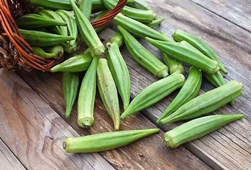 Đậu bắp: Đậu bắp là loại thực phẩm tốt cho dạ dày. Nó chứa nhiều protein, vitamin và các nguyên tố vi lượng. Ngoài ra, loại rau này còn cung cấp lượng canxi dồi dào, 100 gram đậu bắp chứa tới 81mg canxi.
