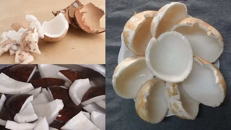 4 loại quả tưởng không béo nhưng lại béo không tưởng 4 loai qua tuong khong beo nhung lai beo khong tuong