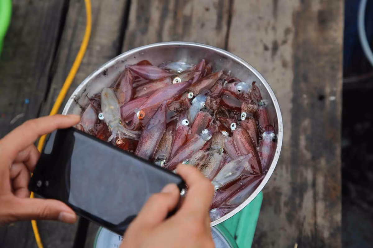 Toan than trong veo, dac san kho cuong khi ve Ha Tinh-Hinh-6