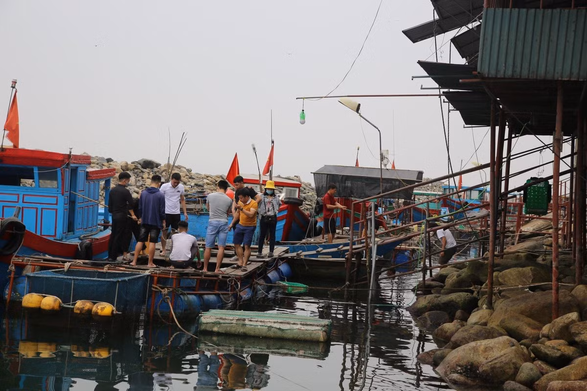 Toan than trong veo, dac san kho cuong khi ve Ha Tinh-Hinh-2