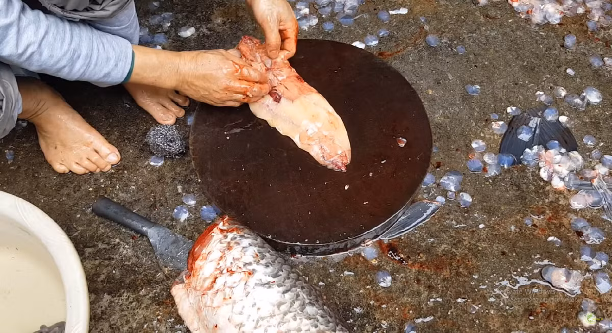 3 bo phan bo nhat cua con ca ma moi nguoi thuong bo di-Hinh-5