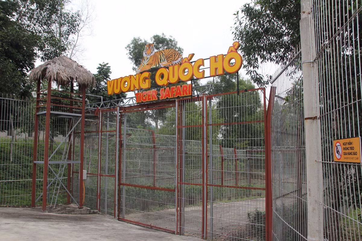 Chuyện chưa biết về những người chăm sóc “chúa sơn lâm” - Hình 2 Chuyen chua biet ve nhung nguoi cham soc “chua son lam”-Hinh-2