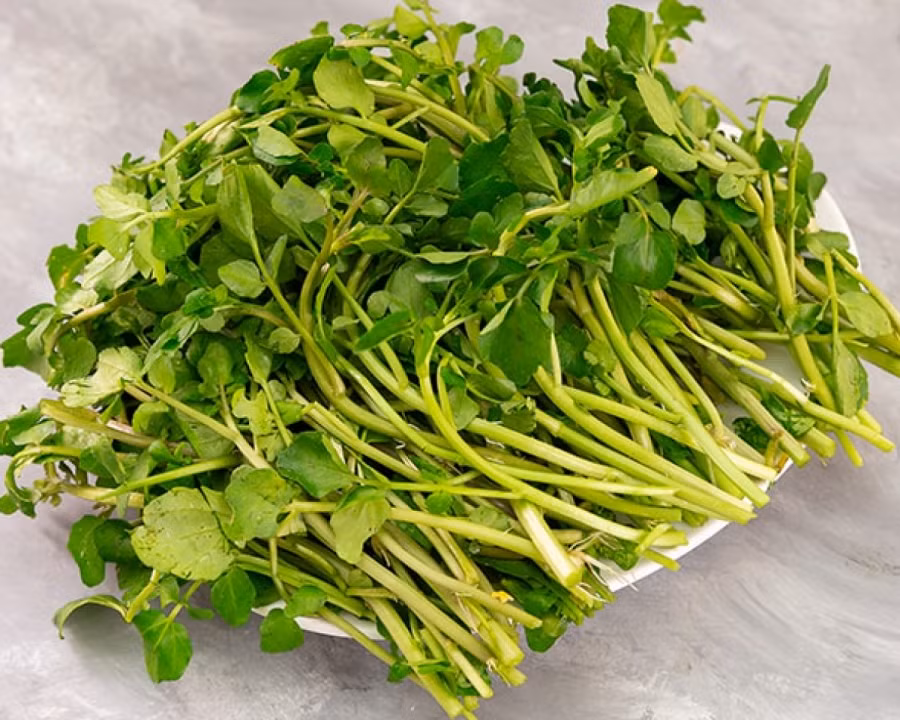 7 loại rau họ cải được ví là kháng sinh tự nhiên, chống lại khối u ác tính - Hình 2 7 loai rau ho cai duoc vi la khang sinh tu nhien, chong lai khoi u ac tinh-Hinh-2