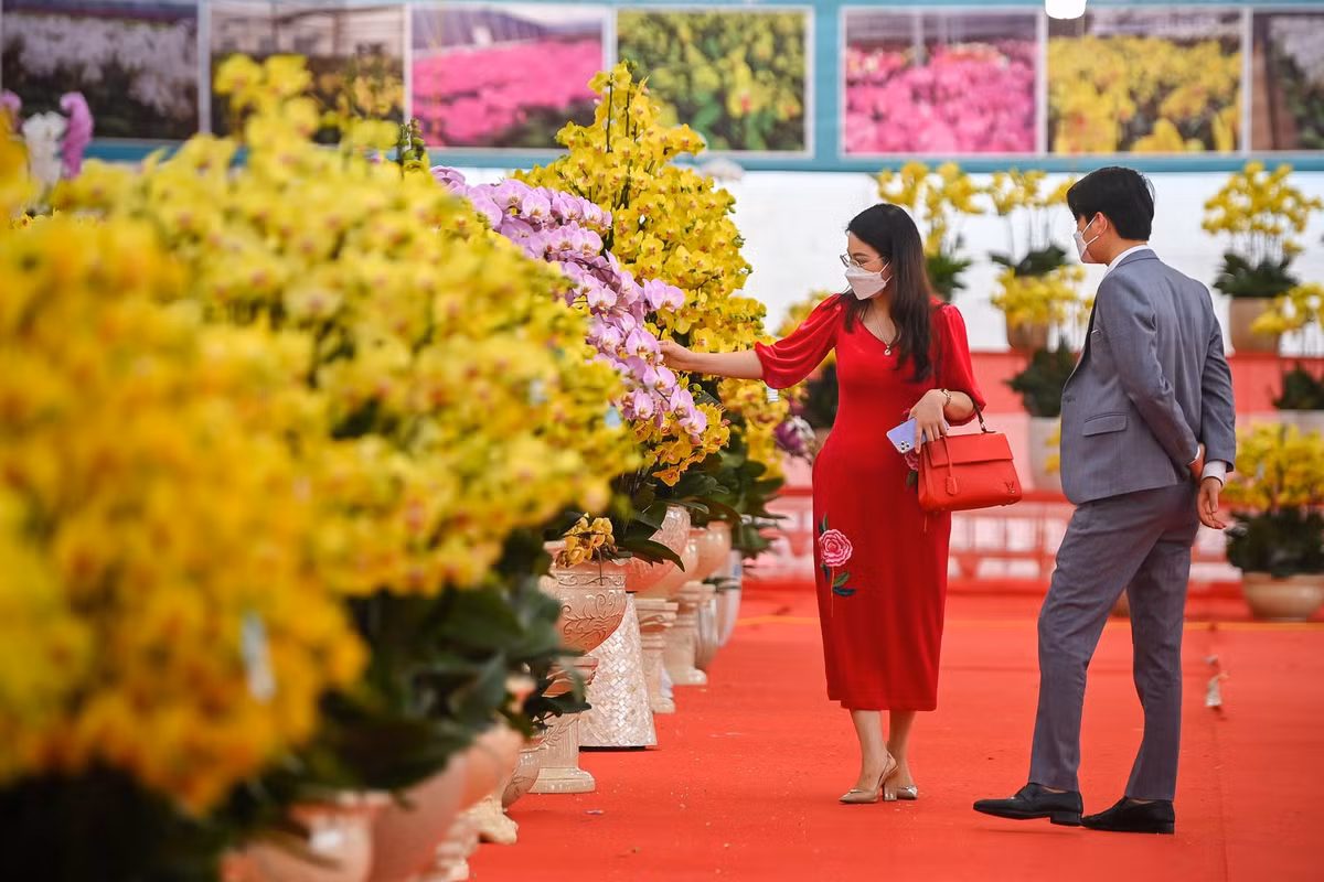 Các loại lan khá đa dạng, phong phú cả về chủng loại, màu sắc lẫn giá cả, thu hút khá đông người dân tới tham quan, mua sắm.