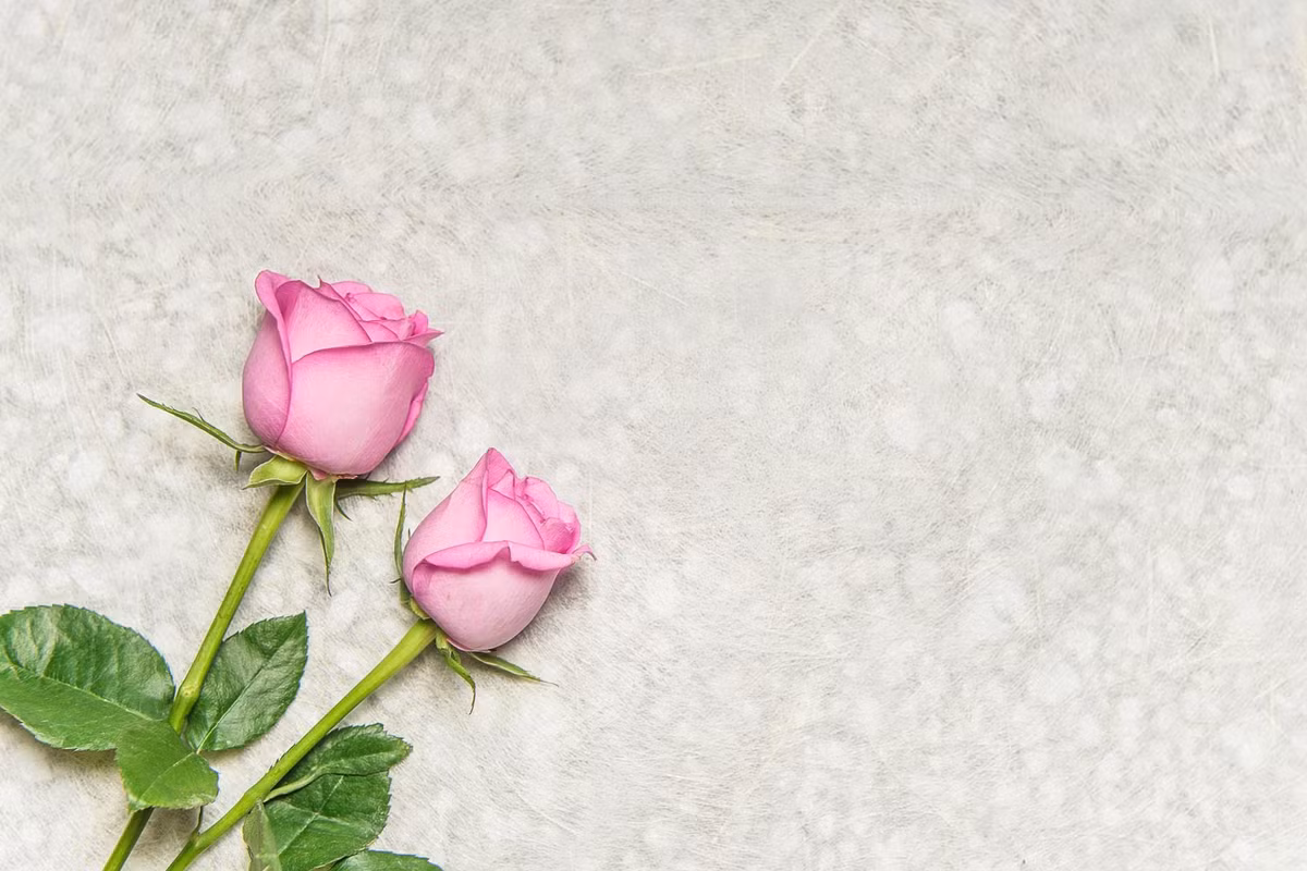 Ai có ngày sinh Âm lịch kết thúc bằng 4 số này, về già ấm no - Hình 2 Ai co ngay sinh Am lich ket thuc bang 4 so nay, ve gia am no-Hinh-2