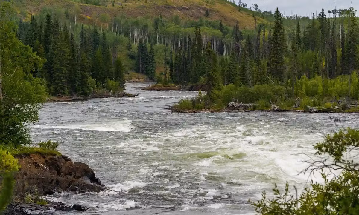 Dang sau cai chet bi an cua ca tam Canada-Hinh-2