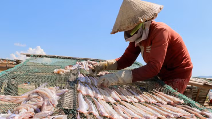 Sau mỗi chuyến đi biển, người dân lại mang về chế biến thành các món ăn, trong đó phổ biến nhất món cá đét kho.