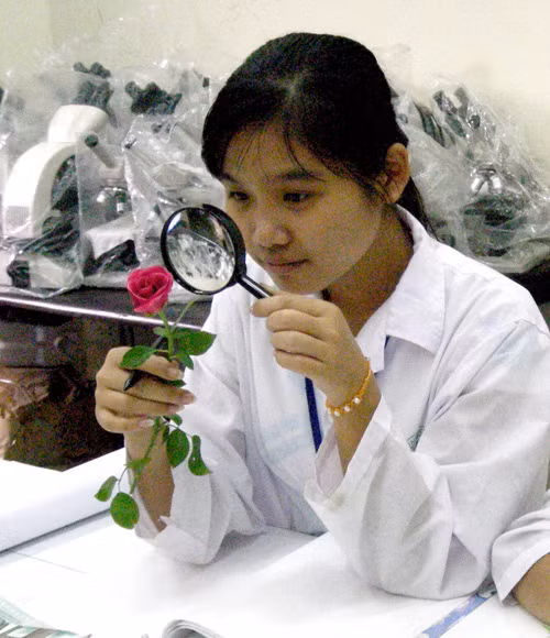 Ảnh minh họa.