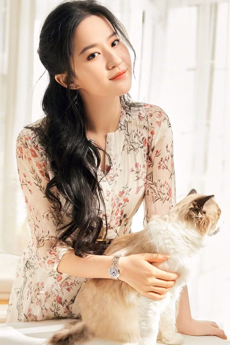 Ở tuổi 35, Lưu Diệc Phi sống độc thân cùng 16 con mèo - Hình 2 O tuoi 35, Luu Diec Phi song doc than cung 16 con meo-Hinh-2