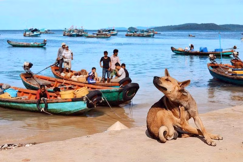 'De nhat quoc khuyen' cua Viet Nam thuoc hang dat nhat the gioi-Hinh-4