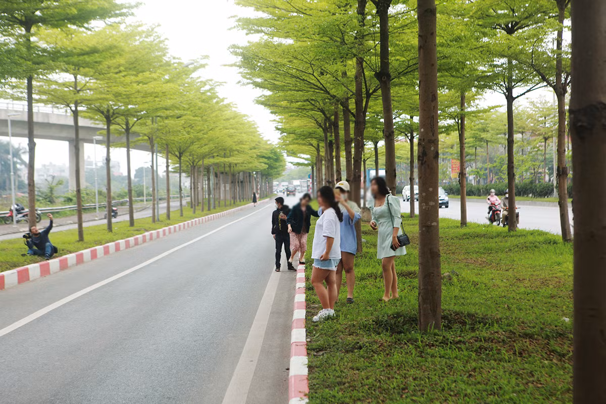 Đây là lối lên cao tốc, rất nhiều phương tiện qua lại, người dân không được đứng ở mép đường hay giữa đường chụp ảnh để giữ an toàn cho bản thân và những người tham gia giao thông khác.
