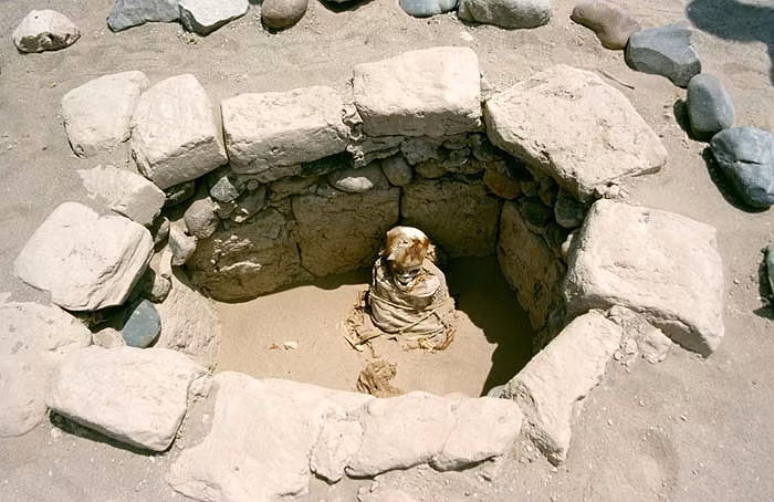 Chủ nhân của những ngôi mộ trong nghĩa trang thuộc về nền văn minh Nazca.