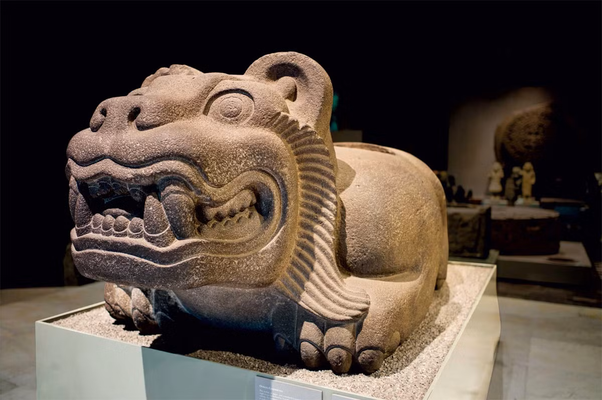 Trong nền văn hóa bản địa châu Mỹ, bao gồm cả những văn minh vĩ đại Maya và Aztec, loài báo đốm có vai khá trò quan trọng. Hình tượng của chúng xuất hiện trên nhiều đồ vật tạo tác và công trình kiến trúc cổ xưa ở châu lục này.