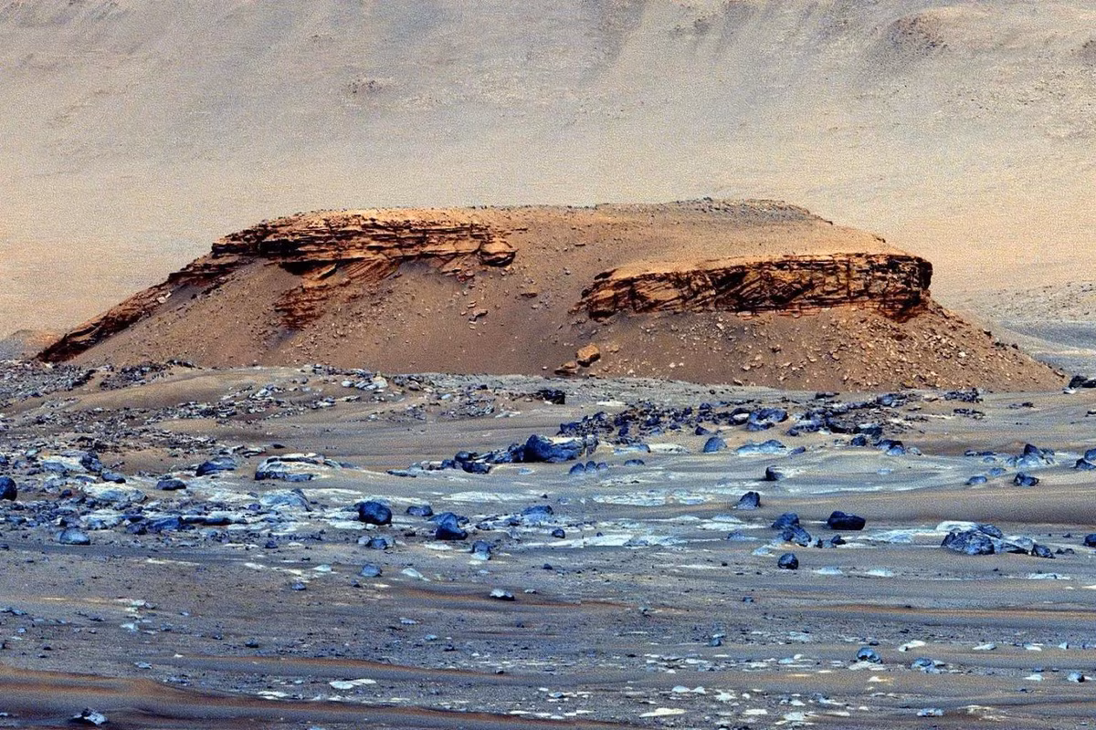 6NASA đã tìm ra tàn tích sinh vật ngoài hành tinh bơi trong nước? 6NASA da tim ra tan tich sinh vat ngoai hanh tinh boi trong nuoc?