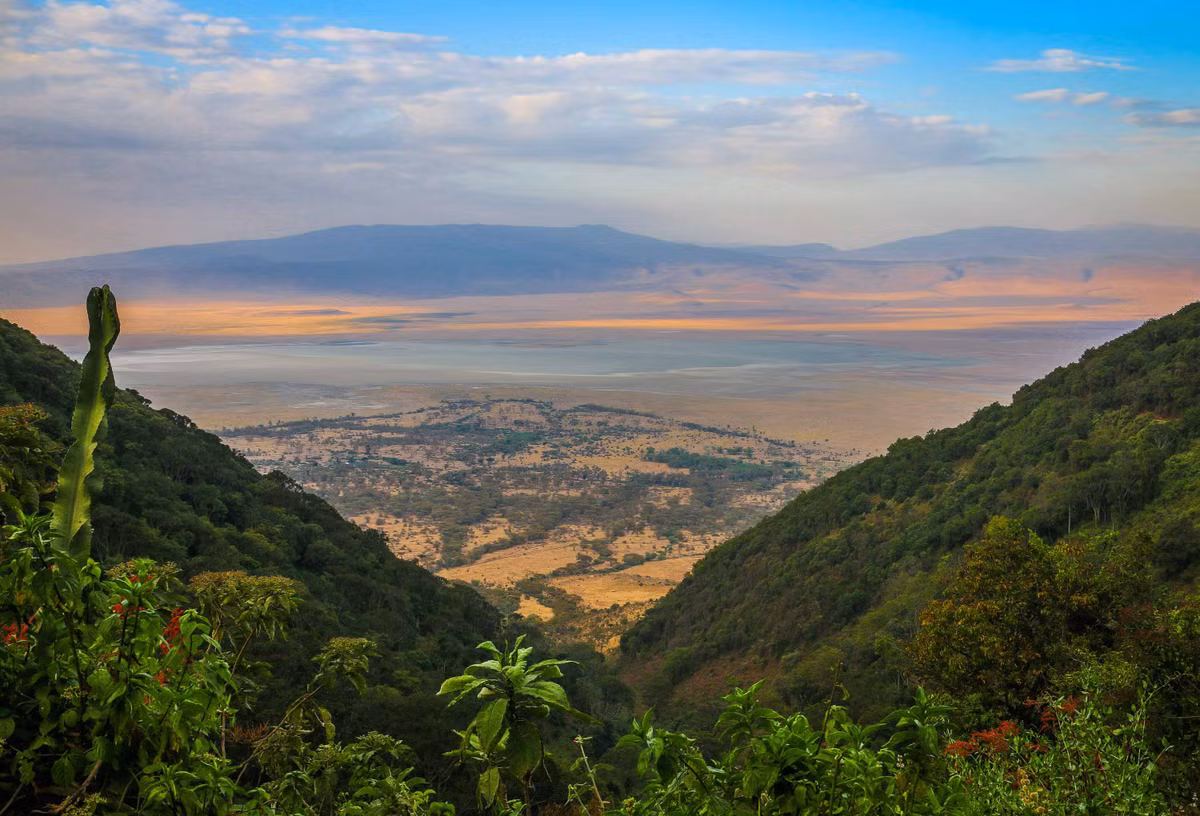  3. Khu bảo tồn Ngorongoro: Toạ lạc ở phía bắc Tanzania, khu bảo tồn này có thể giúp du khách khám phá vết tích về những hoạt động đầu tiên của loài người. Đặc biệt, hẻm núi Olduvai ở đây nổi tiếng với những di tích có niên đại hàng triệu năm, bao gồm hóa thạch, xương của người tinh khôn (homo sapiens) và các loài vượn nhân hình sơ khai. Du khách cũng có thể khám phá những bộ xương được khai quật và hóa thạch động vật tại Bảo tàng Hẻm núi Olduvai.
