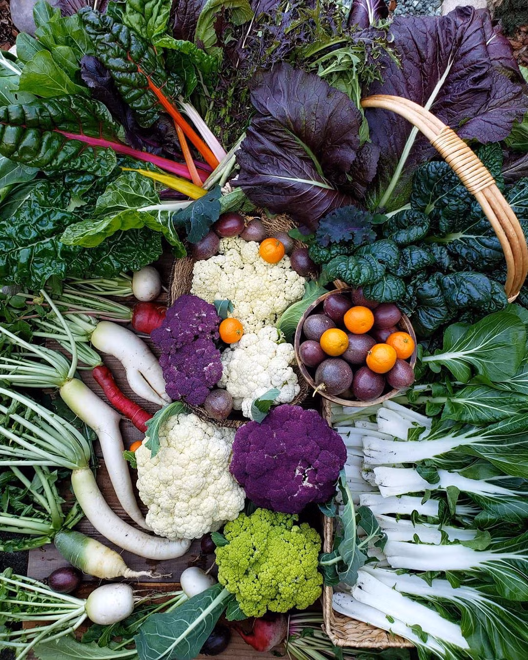 Chị Deana cảm thấy may mắn khi được sở hữu khu vườn, giống như cách thiên nhiên tạo những thuận lợi để chị chăm sóc sức khỏe