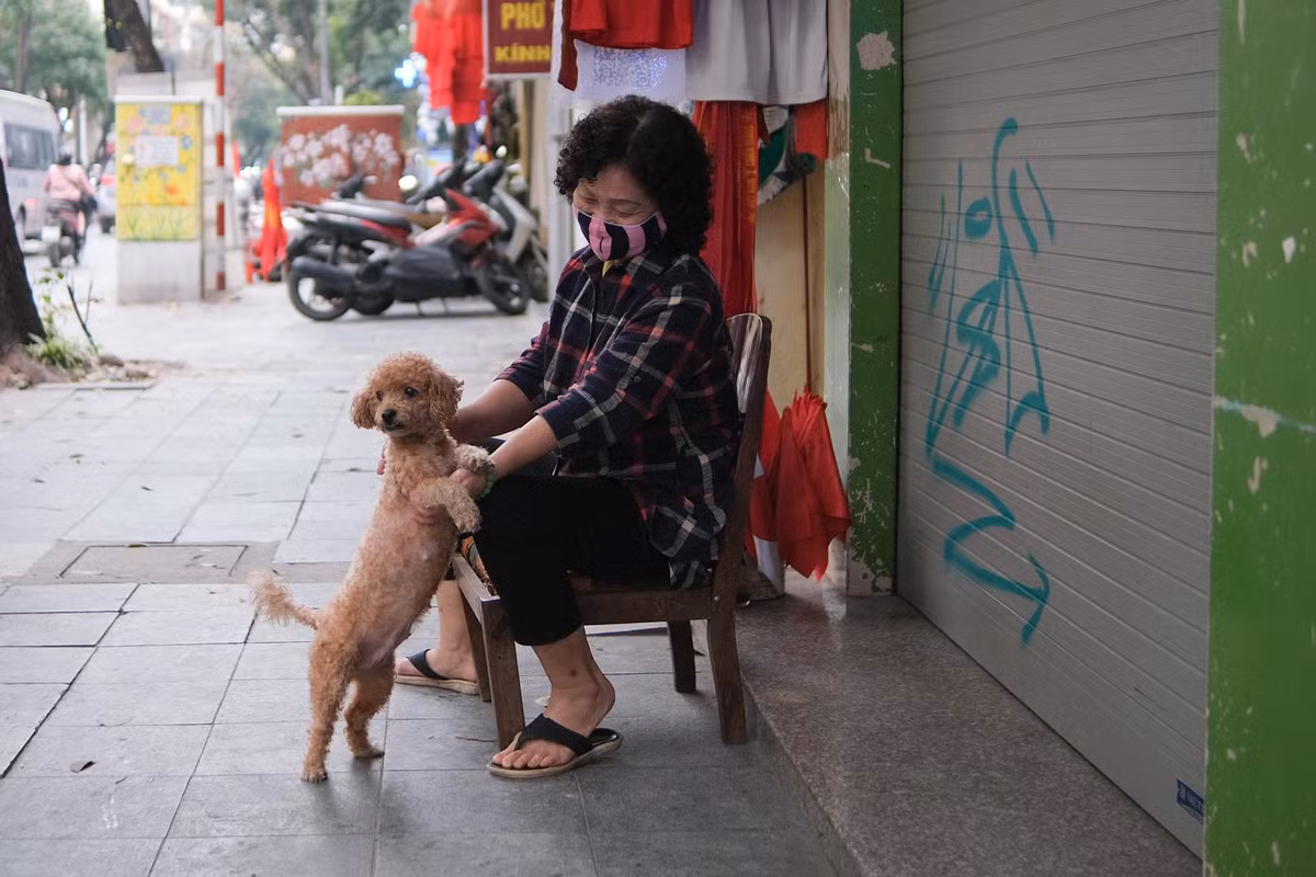 Bà Thúy (chủ hộ kinh doanh quần áo ở phố Hàng Bông) cho biết cả tuần nay không có khách mua, đường phố cũng vắng do ảnh hưởng của dịch bệnh. "Cửa hàng phở bên cạnh mới đóng cửa được mấy hôm do gia đình họ có người mất vì Covid-19", bà Thúy nói.