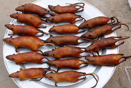 Chuột nướng.