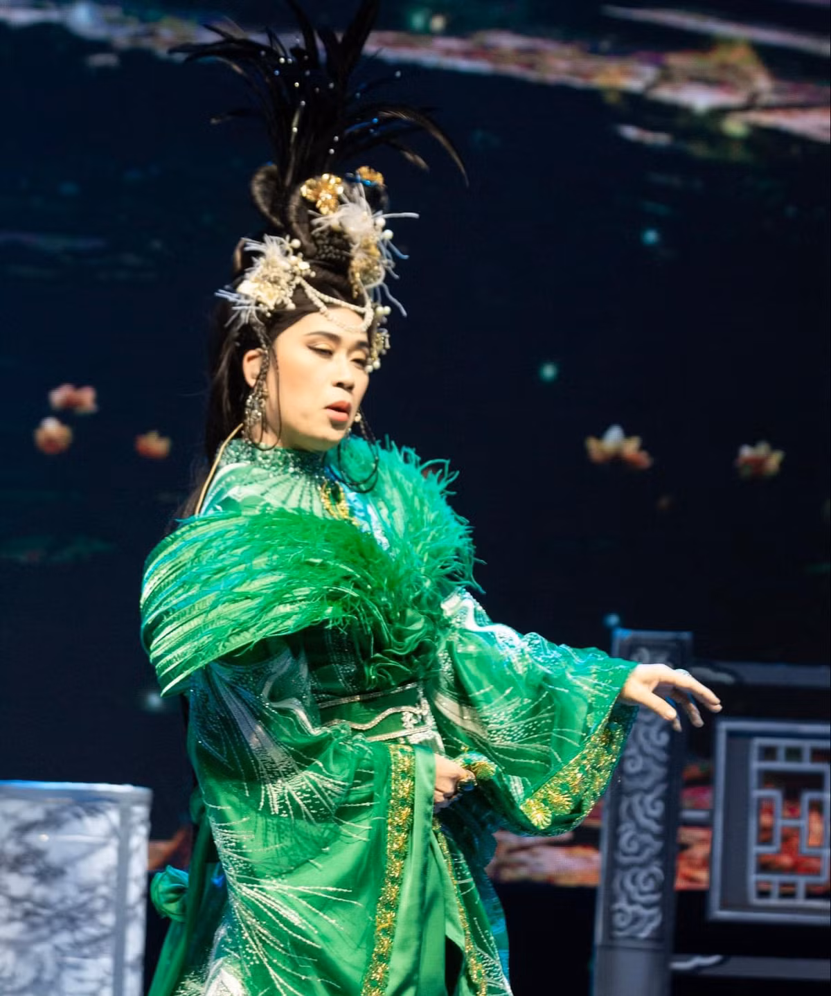 Cat-se cua Hoai Linh bao nhieu?-Hinh-2