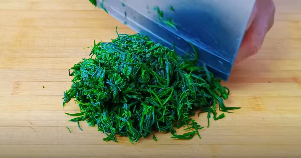 Loai rau dai xua it nguoi biet nay thanh dac san, giau dinh duong-Hinh-9