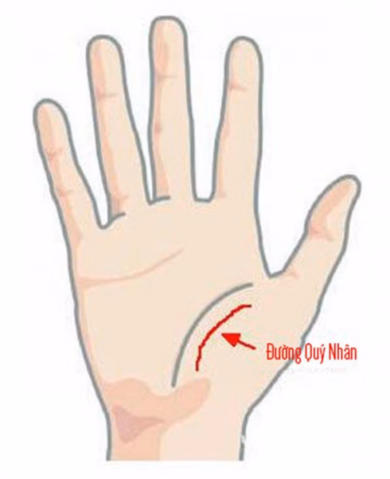 Người sở hữu chúng khá may mắn, khi làm việc gì cũng có người ra tay hỗ trợ và giúp đỡ. Vì vậy dù có khó khăn, rắc rối thì sau đó đều có cách giải quyết và vượt qua thuận lợi. Tuy nhiên bạn không nên quá ỉ lại, trong cuộc sống vẫn cần phải nỗ lực mới đạt được thành tựu. Bạn hãy biết tận dụng cơ hội thì chỉ cần cố gắng 1 chút là họ sẽ đạt được thành công như mong muốn.