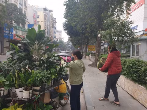 Cach ly chong dich: Them mot nghe doanh thu tang vot-Hinh-3