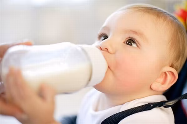 Để đảm bảo nhu cầu về năng lượng, trẻ cần uống hai lít sữa bò đã pha theo công thức mỗi ngày, nhưng nếu uống đủ thì lượng đạm đưa vào cơ thể sẽ vào khoảng 42 – 45g (dư 10 – 12g), lượng mỡ đưa vào cơ thể là 48 – 50g (dư 12 – 14g). Lượng dư ra của cả đôi chất này đều không tốt vì trong quá trình tiêu hoá sẽ tạo ra các sản phẩm trung gian độc hại cho cơ thể. Để đảm bảo nhu cầu về năng lượng, trẻ cần uống hai lít sữa bò đã pha theo công thức mỗi ngày, nhưng nếu uống đủ thì lượng đạm đưa vào cơ thể sẽ vào khoảng 42 – 45g (dư 10 – 12g), lượng mỡ đưa vào cơ thể là 48 – 50g (dư 12 – 14g). Lượng dư ra của cả đôi chất này đều không tốt vì trong quá trình tiêu hoá sẽ tạo ra các sản phẩm trung gian độc hại cho cơ thể.