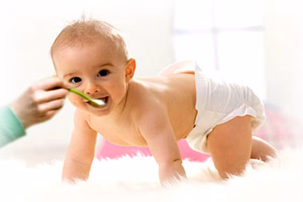 Men tiêu hóa tự nhiên là một hỗn hợp các enzym khác nhau có tác dụng chuyển hóa thức ăn, chủ yếu là chất bột, đường, chất đạm và chất béo. Đó là những xúc tác sinh học cần thiết cho hầu hết các phản ứng chuyển hóa thức ăn xảy ra trong cơ thể.