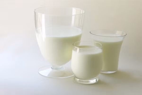Đau dạ dày. Sữa sau khi vào cơ thể sẽ lên men và kết hợp với các axit cộng với men tiêu hoá có sẵn trong dạ dày. Các thành phần này hợp lại sẽ gây kích ứng những nơi bị viêm loét hoặc lớp niêm mạc trong thành dạ dày, làm cảm giác đau càng tăng lên.
