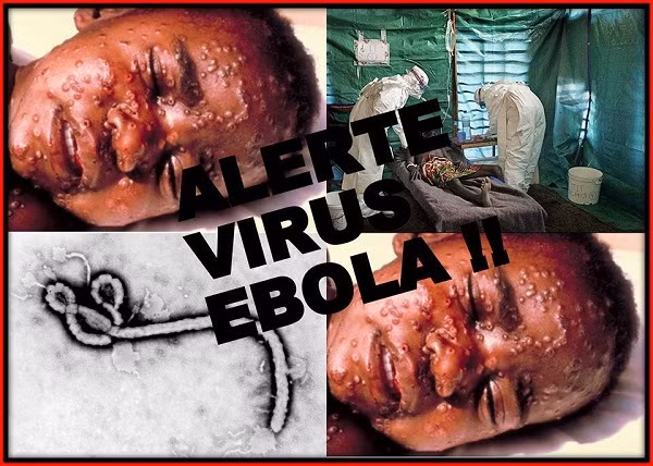 Theo tin từ các nhà nghiên cứu dịch bệnh Ebola, bệnh nhân đầu tiên phát tán Ebola rất có thể là một bé 2 tuổi tại một ngôi làng ở Guéckédou, Guinea. Em bé này đã chết ngày 6/12 năm ngoái. Rất nhanh sau đó, gia đình của bé và các y tá, bác sĩ đều chết sau hàng loạt triệu chứng sốt, nôn mửa và tiêu chảy khó hiểu. Dịch bệnh Ebola chỉ được nhận diện 3 tháng sau đó.
