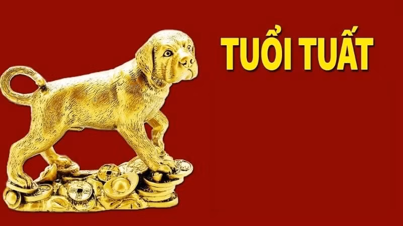 Từ nay đến cuối tháng 11, tuổi Tuất cũng là một trong những con giáp cực khổ trước sướng sau. Trong khoảng thời gian này, tuổi Tuất dễ gặp bẫy, bị cản trở, khiến công việc không suôn sẻ.