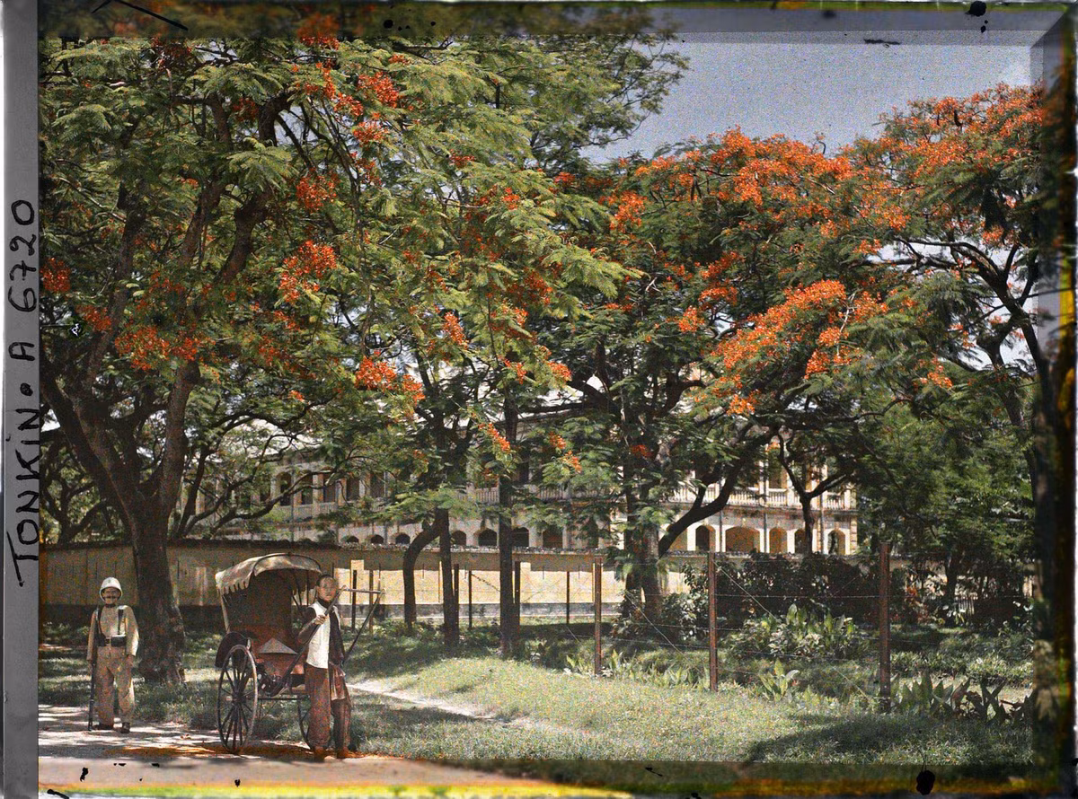 Hình ảnh khác ở cùng góc chụp.
