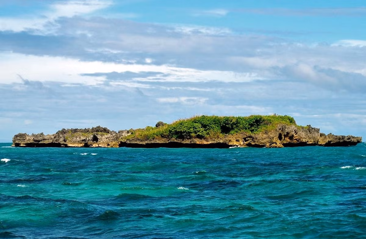  4. Đảo Cá Sấu (Philippines). Philippines là nơi sinh sống của những con cá sấu khổng lồ, và cũng có một hòn đảo trông giống như loài vật này, nằm gần bãi biển nổi tiếng nhất của đất nước, Boracay. Không chỉ có diện mạo ấn tượng, đảo Cá sấu còn là một điểm lặn biển rất nổi tiếng.