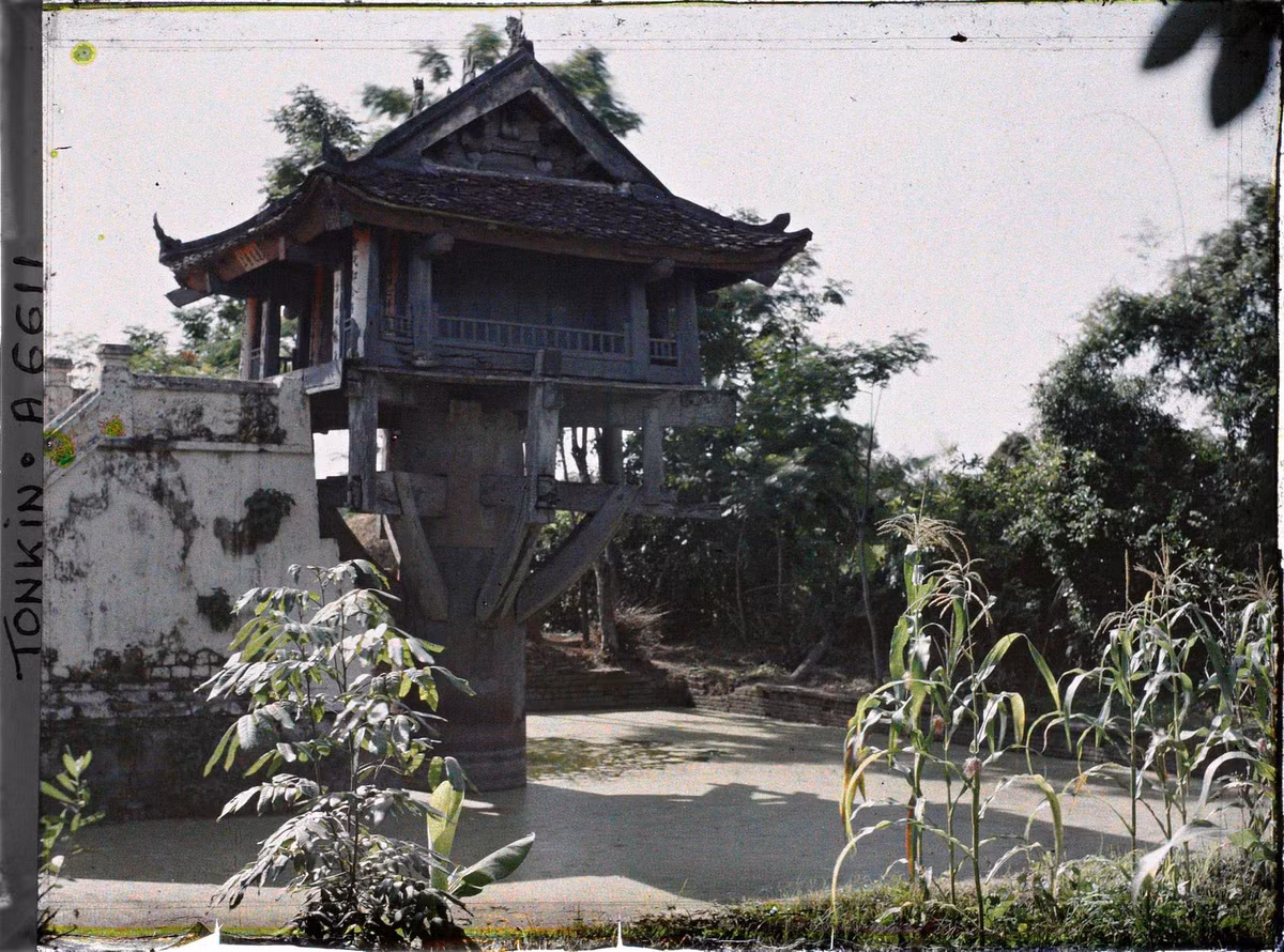 Góc nhìn khác về chùa Một Cột.
