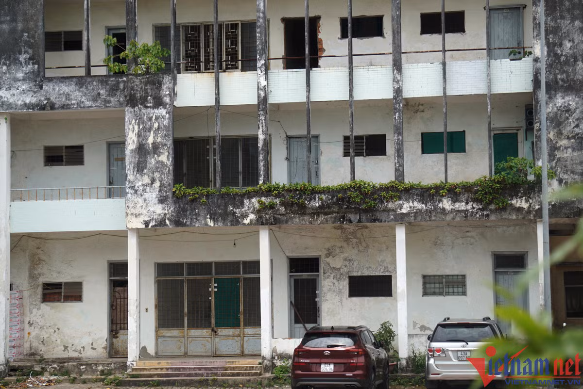 'Chảo lửa' Chi Lăng ở Đà Nẵng hoang tàn sau hơn 1 thập kỷ bị bỏ hoang ảnh 16