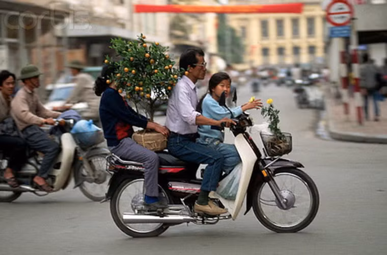 Cả gia đình đi sắm một cây quất chơi Tết. Ảnh chụp ngày 12/2/1994.