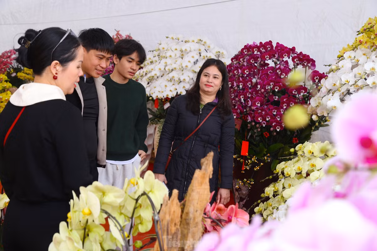 Những năm gần đây, lan hồ điệp được nhiều người ưa chuộng bởi vẻ đẹp về hình dáng, màu sắc đa dạng và đặc biệt lâu tàn phai. Năm nay, bên cạnh những chậu lan truyền thống cắm trên bình sứ, nhiều cơ sở đầu tư cắm lan hồ điệp trên gỗ lũa để thu hút khách hàng.