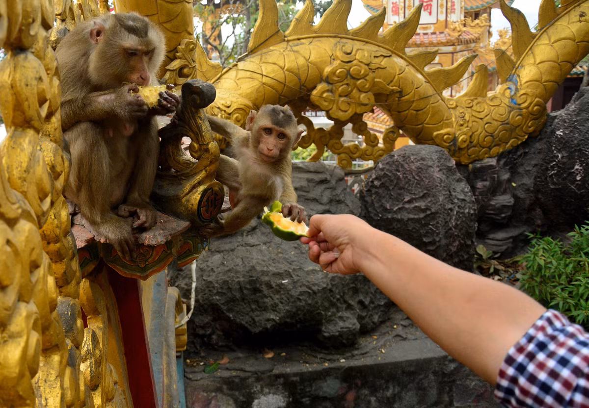 Chùa núi Châu Thới nằm ở phường Bình An của TP Dĩ An. Ngoài phường Bình An, thành phố này còn có 6 phường khác là: An Bình, Bình Thắng, Dĩ An, Đông Hòa, Tân Bình và Tân Đông Hiệp. Ảnh: Lê Quân.