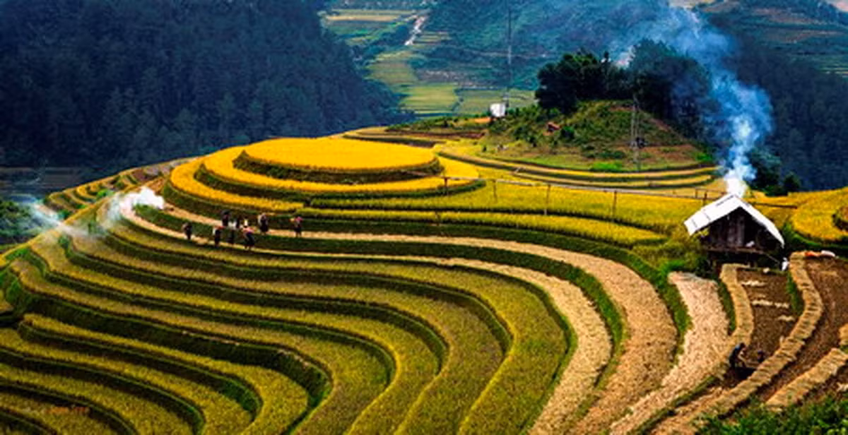  Ruộng bậc thang Hoàng Su Phì nằm trên địa bàn 6 xã Bản Luốc, Sán Sả Hồ, Bản Phùng, Hồ Thầu, Nậm Ty và Thông Nguyên, được đánh giá vào loại đẹp bậc nhất Việt Nam. Hiện, ruộng bậc thang Hoàng Su Phì đã được công nhận là Di tích quốc gia. 