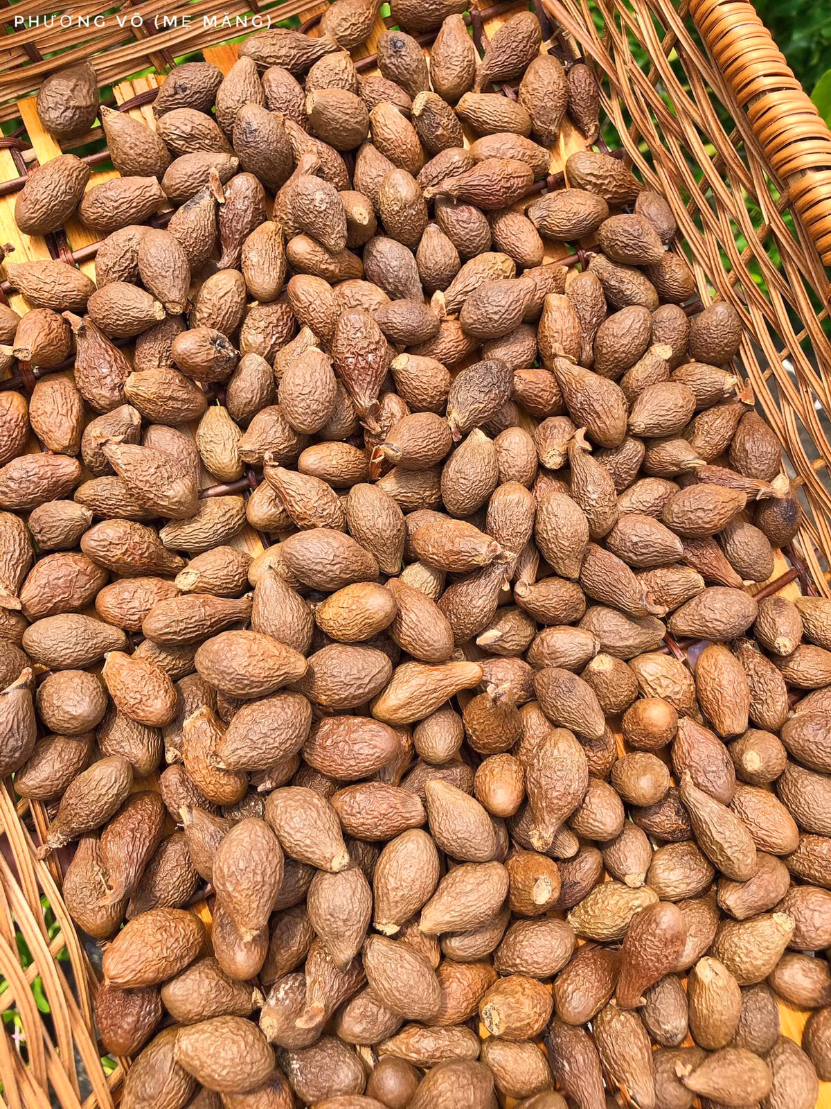 Loai hat nghe quen, nhin la, vi nhu “yen cua nui rung”