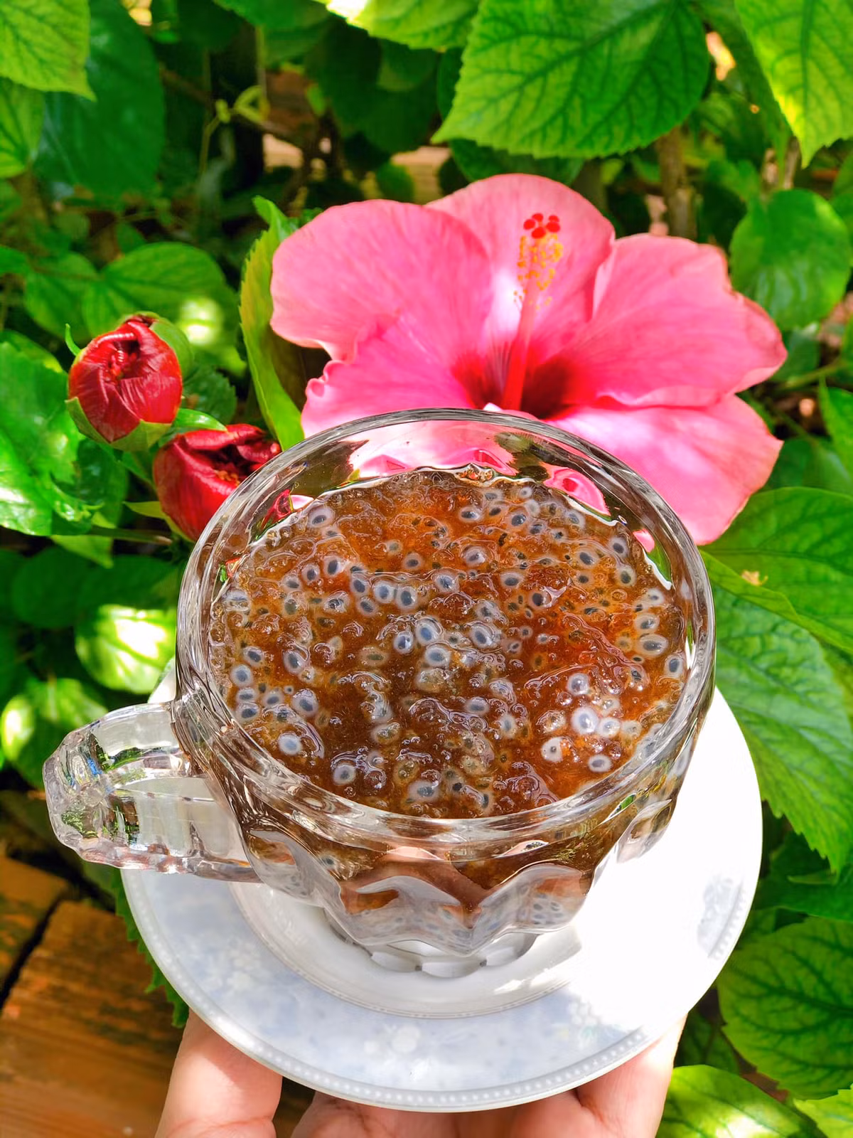 Loai hat nghe quen, nhin la, vi nhu “yen cua nui rung”-Hinh-12