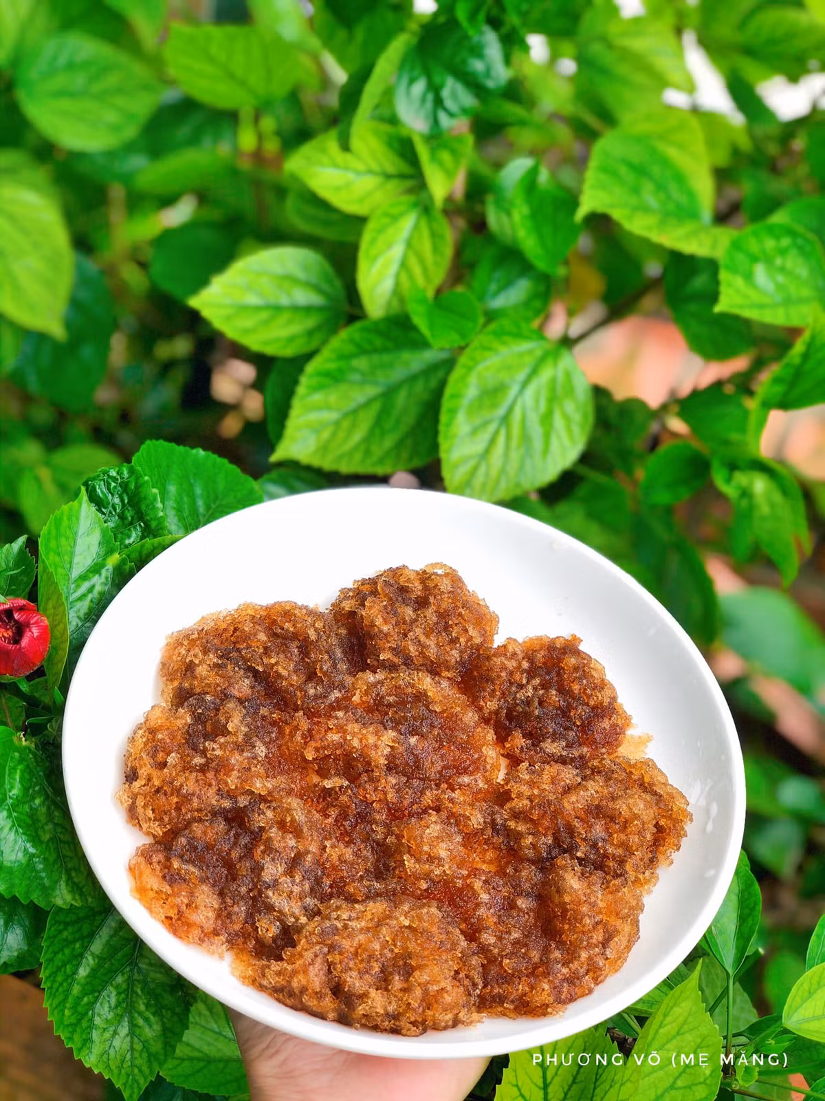 Loai hat nghe quen, nhin la, vi nhu “yen cua nui rung”-Hinh-4