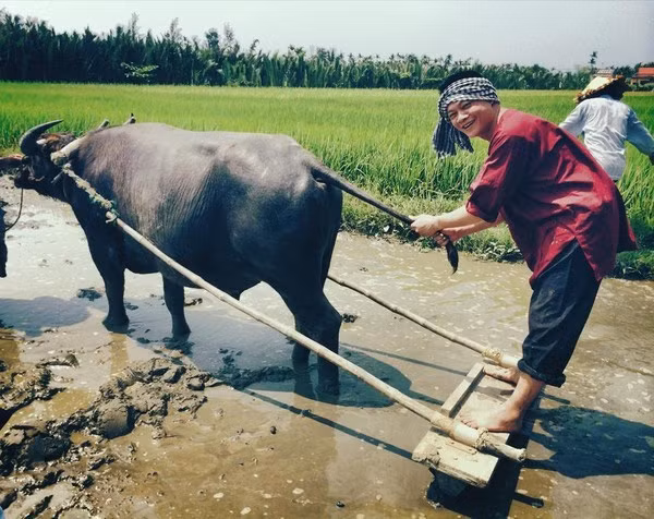 BTV Quang Minh nhí nhảnh chụp ảnh với tạo hình của một anh nông dân chính hiệu.