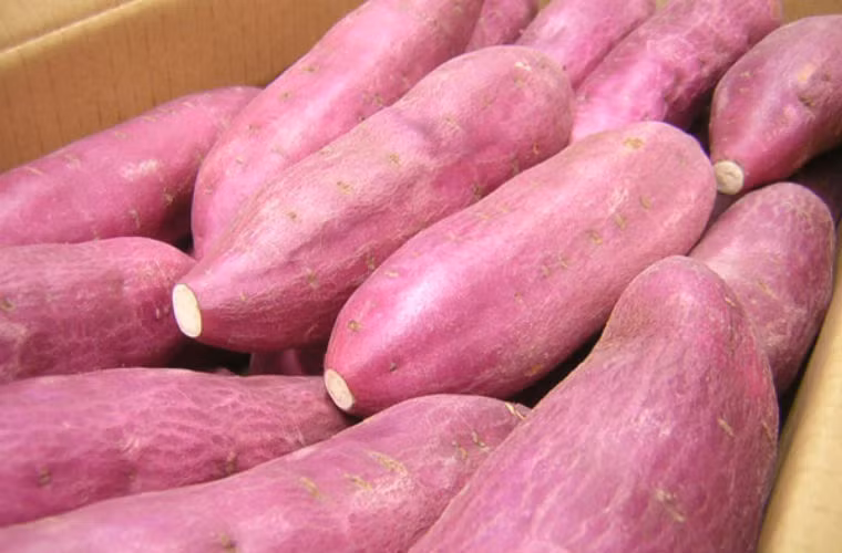 Khoai lang: chứa nhiều carotene, lysine, chất xơ thực vật, DHEA, có thể ngăn ngừa ung thư kết tràng và ung thư vú.